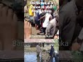 watch as Peter Obi is ferried using a canoe as he visits flood victims in Benue. Obi is a king