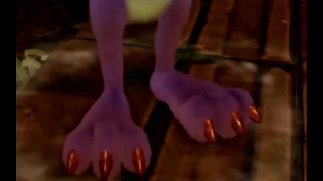 Ripper Roo's Paw-Tography - YouTube