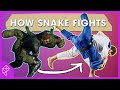 Why does Snake fight like that? | Fighting Styles Explained