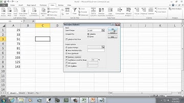 Excel 2010: Descriptive Statistics