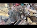 Amazing Skills Working With Wood Lathe // Woodturning Work From A Discarded Wooden Log