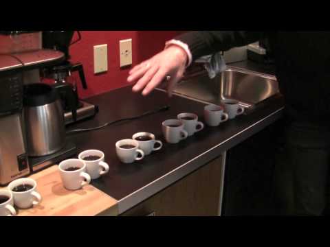 Blind Taste Test: Technivorm vs. Bonavita Coffee Makers