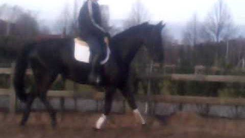 video-2011-12-11-10-55-10.mp4