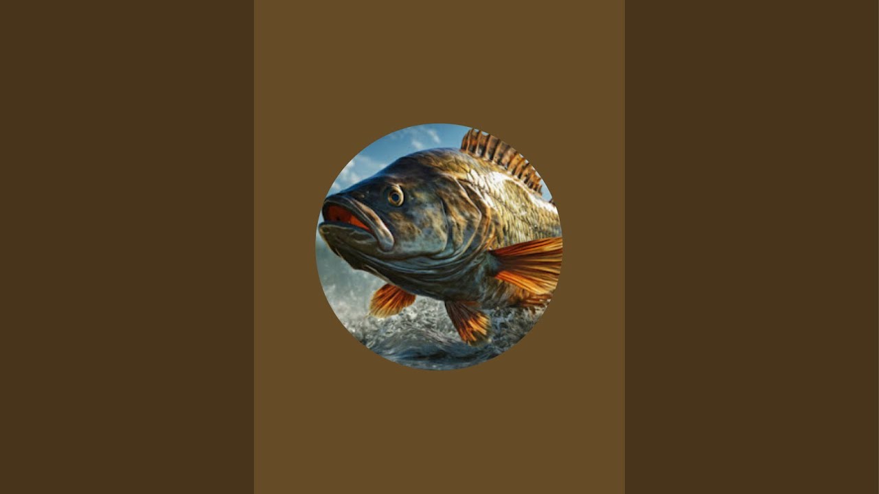 Bass fish with paddle tails