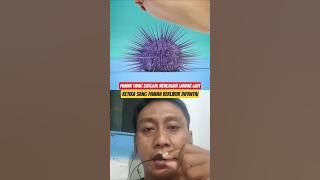 #shortvideo #viralvideo