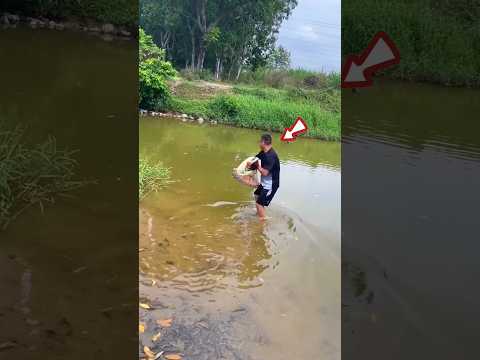 Spun the net and threw it into the river. #shortsfeed #viralvideo #viralshorts