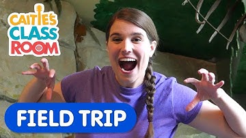 Dinosaur Adventure | Caitie