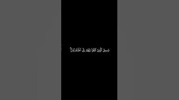 سورة الزمر || الشيخ محمد اللحيدان كروما قرآن