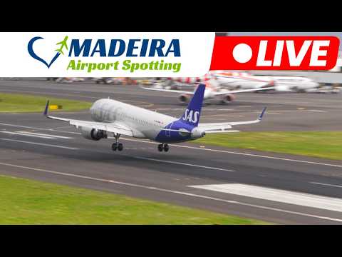 Live Action At Madeira Island Airport 14.04.2026