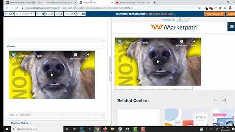 How To Remove YouTube Information From Embedded Videos