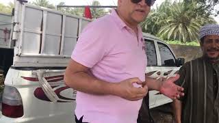 Umman Köylüsünden Taze Hurmalar Resimi