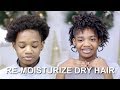 How to Re-moisturize Natural Hair plus REVAIR Dried her TWISTS 😱 | KendraKenshay