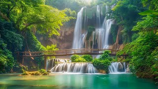 Relaxing Music For Stress Relief, Anxiety and Depressive States • Heal Mind, Body and Soul screenshot 4