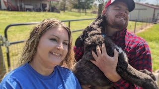 What Did We Name The New Livestock Guardian PUPPY?