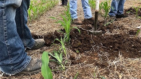 NRCS Soil Health Training