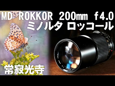 カメラ女子に人気？オールドレンズ「MINOLTA MD 200mm f4