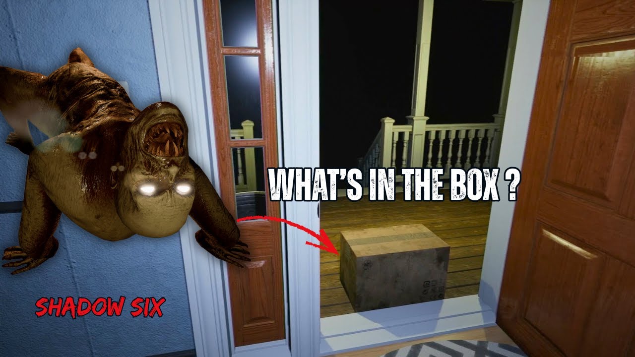 Someone Left Me a Package at Midnight...