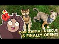 A Grand RE-OPENING of Our Animal Shelter?! 🐶🩹 Animal Shelter Simulator • #1