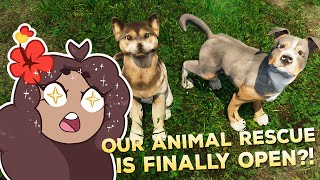 A Grand RE-OPENING of Our Animal Shelter?! 🐶🩹 Animal Shelter Simulator • #1