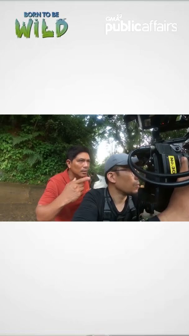 Nakitang unggoy na paagala-gala sa wild, may kadena sa bewang?! #shorts | Born To Be Wild