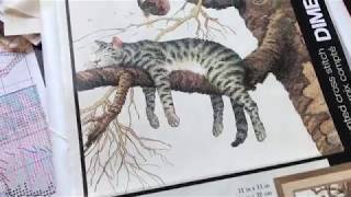 Кот, который Слишком устал. Дименшенс. Отчет 1. \Too Pooped Кот, который Слишком устал. Дименшенс. Отчет 1. \Too Pooped