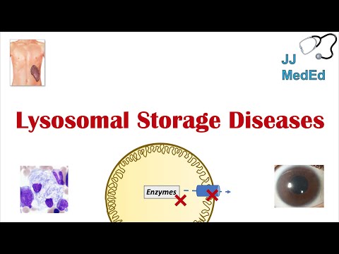 Video: DIOGEN SYNDROME O PATHOLOGICAL STORAGE