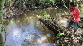 MANCING DI HUTAN LARANGAN YANG MENJADI SARANG IKAN MONSTER..