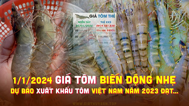 1 thùng mì tôm cho đại lý giá bao nhiêu