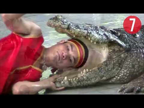 TOP 10 Ataques de Cocodrilos Captados en Cámara || TOP 10 VÍDEOS
