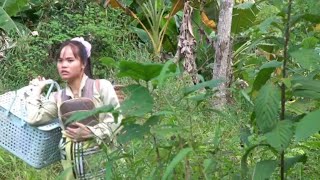 A Single Mother Renovates an Abandoned Bamboo House & Spends the Night Alone