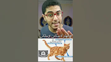 هيحصل ايه لو زرعنا جهاز تجسس في قطة 