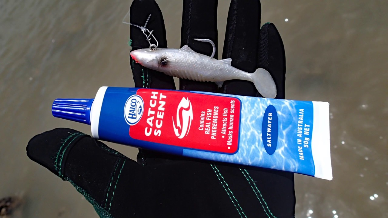 attractant halco catch scent