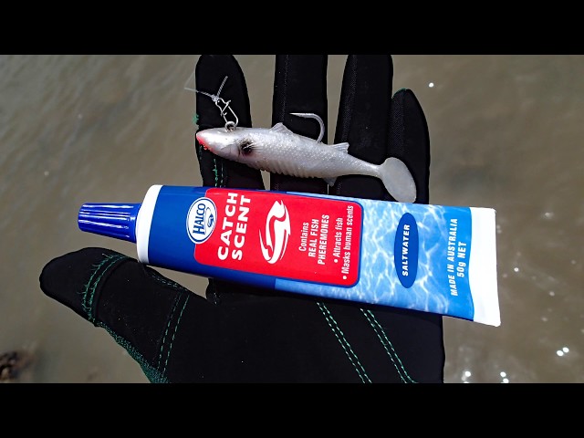 Halco ADDITIF Catch Scent FW - Phéromones Pour Pêche En Eau Douce