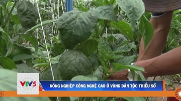 NÔNG NGHIỆP CÔNG NGHỆ CAO Ở VÙNG DÂN TỘC THIỂU SỐ    | VTV5