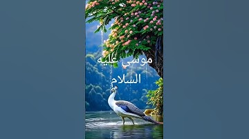 قرآن كريم #اكسبلور #nature #القزابري #تيك_توك #دويتو #الرحمن #صباح_الخير