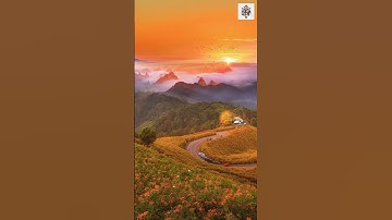 تلاوة من #سورة_يوسف للشيخ #خالد_الجليل