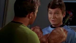 Tribbles On the Bridge