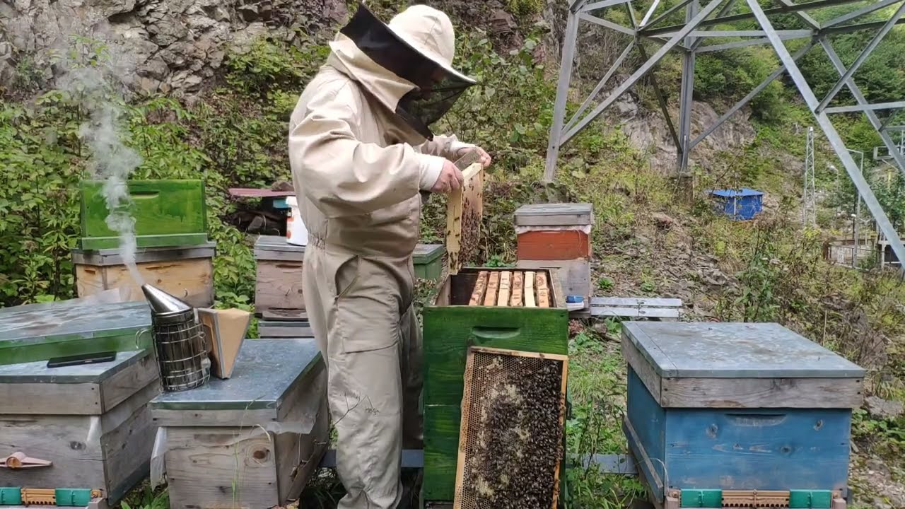 5 aylık kış mevsimine hazırlanmış arı 🟢 kovan.