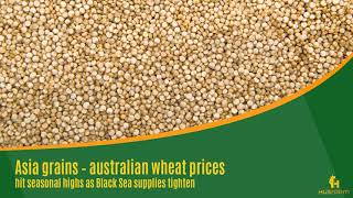 Asia grains - australian wheat price