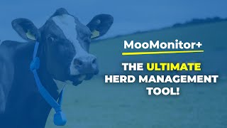 MooMonitor+ The Ultimate Herd Management Tool