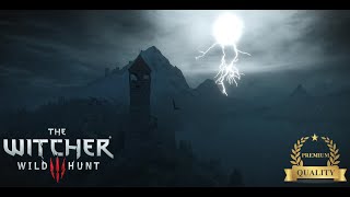 Relaxing Skellige rain | The Witcher 3 🌧️