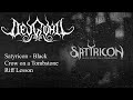 Satyricon - Black Crow On A Tombstone Guitar Lesson *With Tabs*