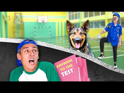 Don’t Lose Your Popularity: Jamie’s Test Answers Plan Backfires