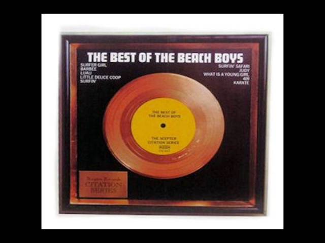 Beach Boys - What Is A Young Girl Made Of