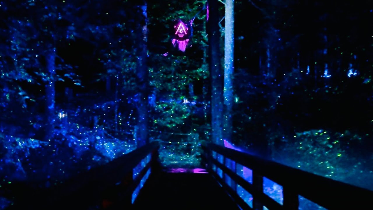 Vallea Lumina | Whistler