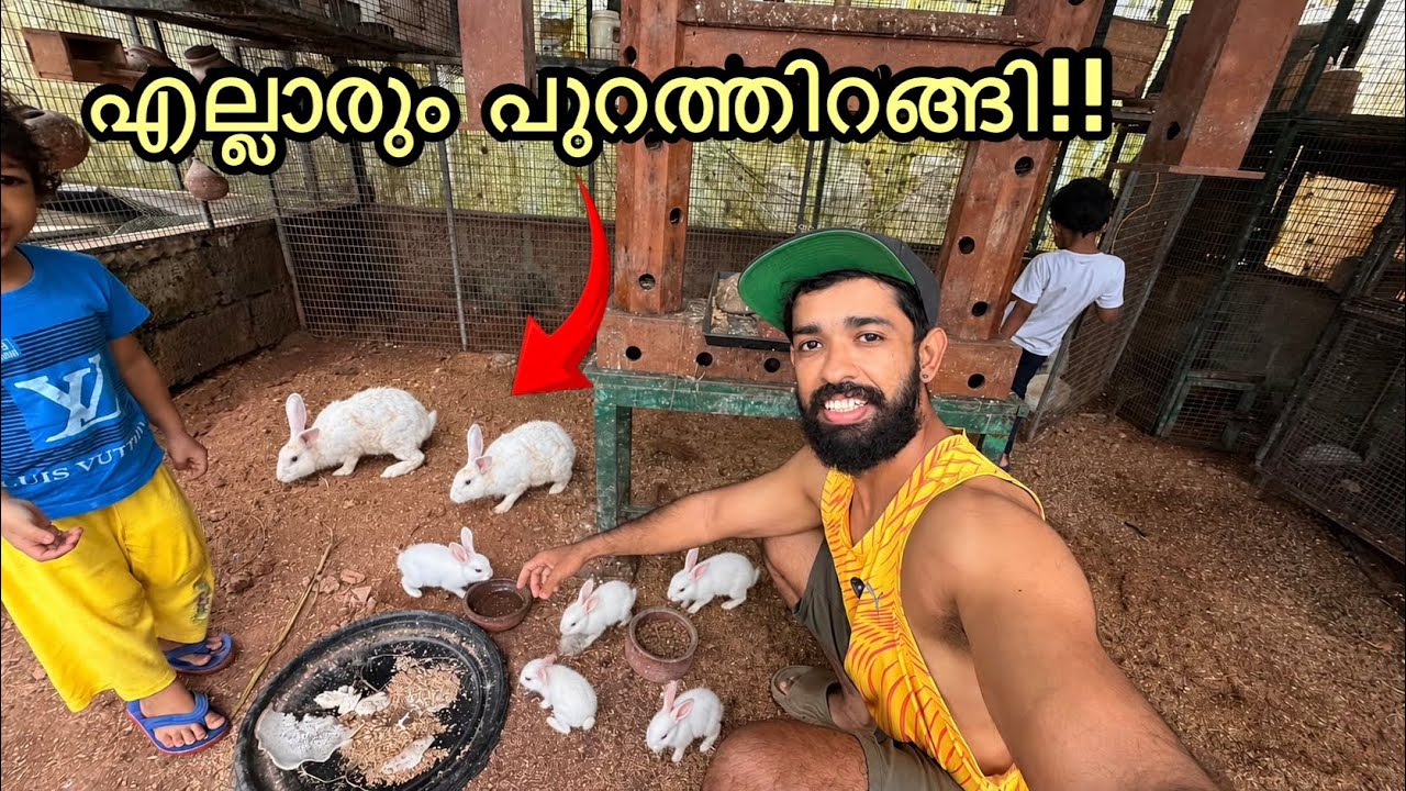 മുയലും കുഞ്ഞുങ്ങൾ എല്ലാം കണ്ണ് തുറന്നു!!! | Avairy Full of Rabbits | Fishing freaks 