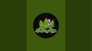 Jack & The GreenTalk  is live