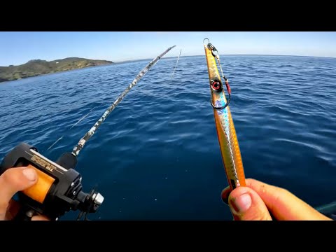 I FINNALY Found Them!! JIGGING?