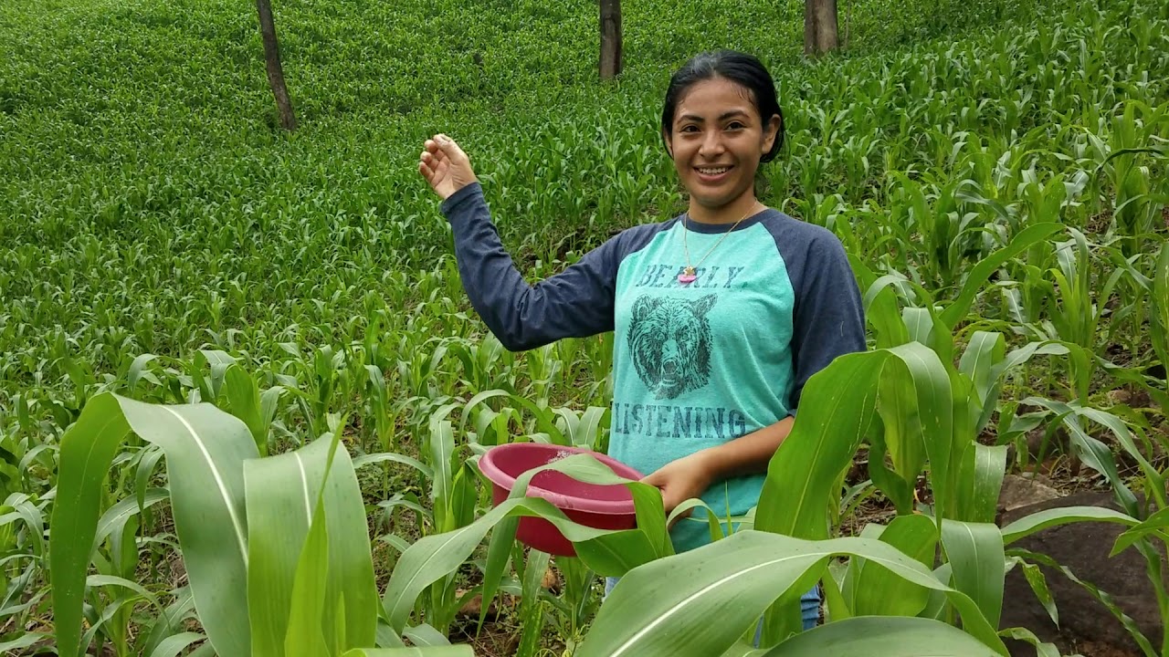 mexicano restaurant DON RAMON ENSEÑA ABONAR A OLGA - QUE SE TRAEN OLGA Y DON RAMON - P / 2