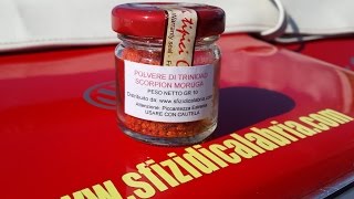 Trinidad Moruga Scorpion Powder Review And Fail